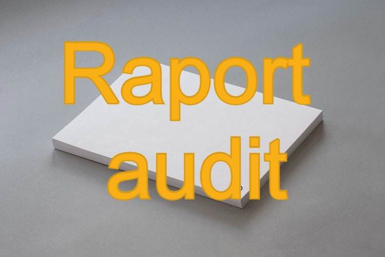raport audit